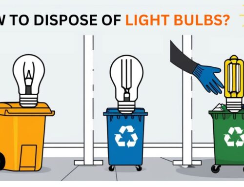 How to Dispose of Light Bulbs?